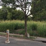 Recorrida por barrios El Espejo y Dos Marías