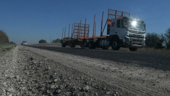 Comisión de Defensa de Competencia descarta ilegalidades en ese ámbito del “Gran hermano” de la carga